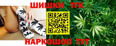 крисы Абакан