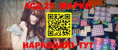 крисы Абакан