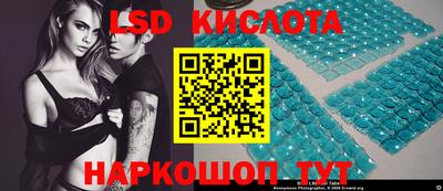 крисы Абакан