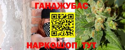 крисы Абакан