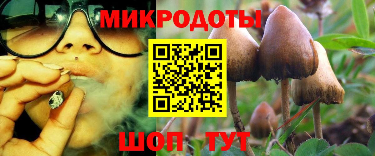 Галлюциногенные грибы Psilocybine cubensis  Вход с VPN  Абакан 